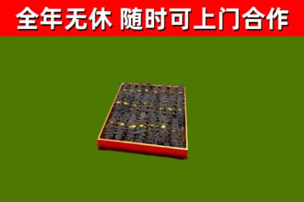望谟县回收海参